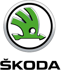 remplacement pare brise skoda antony villejuif bourg la reine massy